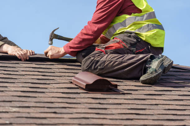 Best Flat Roof Repair Services  in Wolf Point, MT